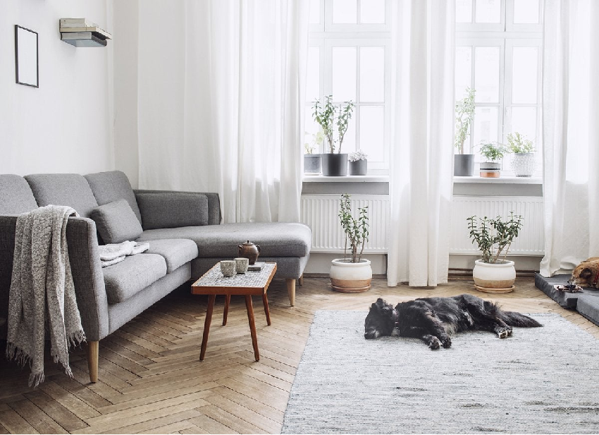 Make your living room dynamism