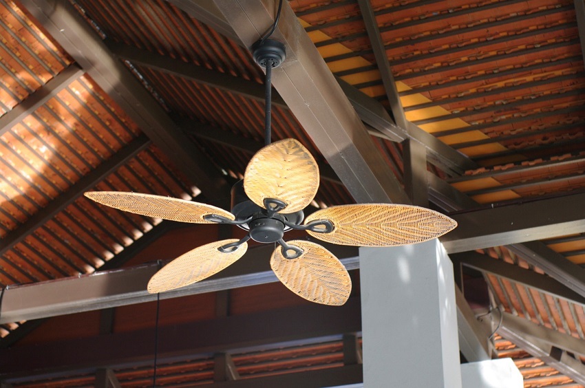 Is Exhaust Fan Better Than Ceiling Fan