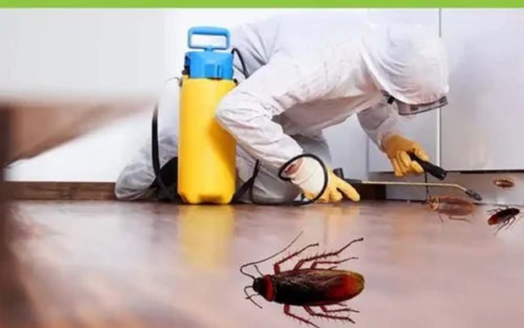 How do I get rid of cockroaches permanently