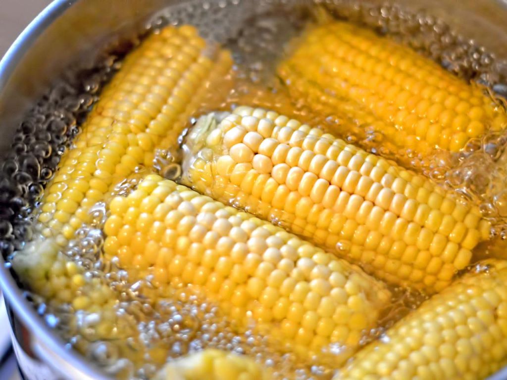 How much time do you boil corn on the cob?