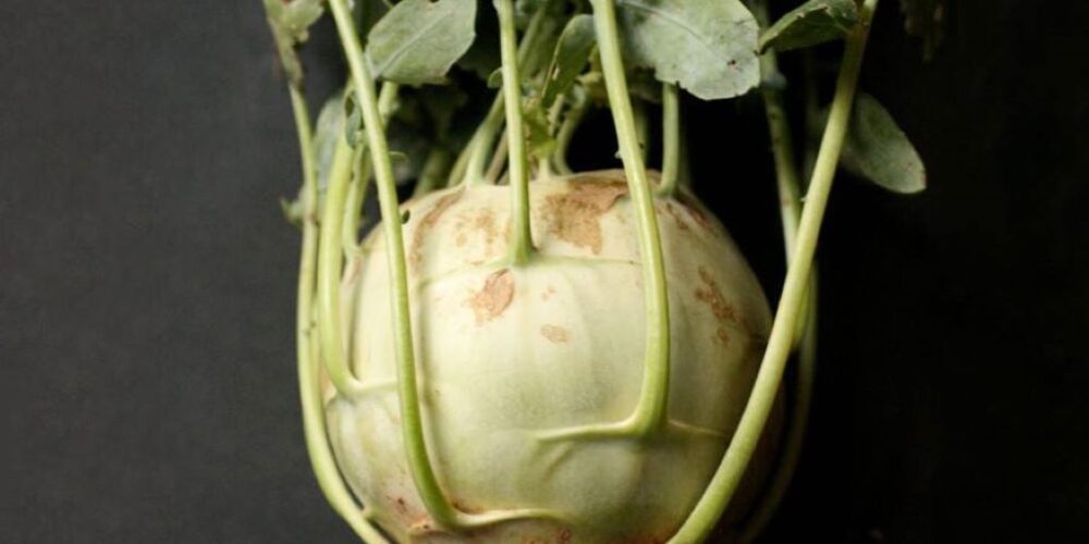 Do you peel kohlrabi before cooking?