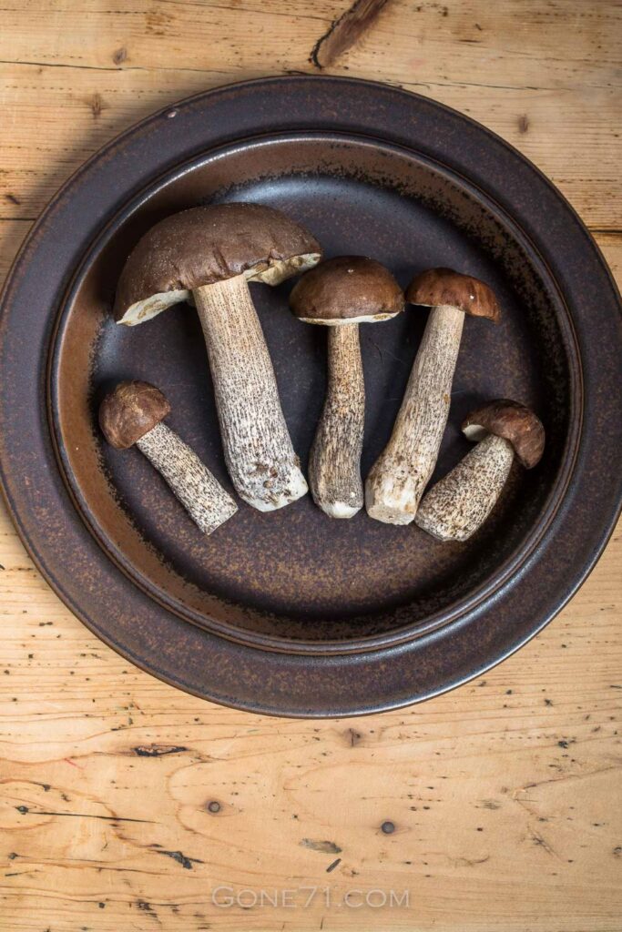 How long to cook Orange Birch Bolete