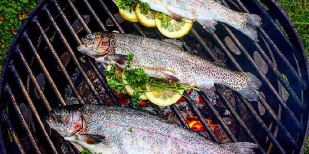 What is the best time to fish for brown trout
