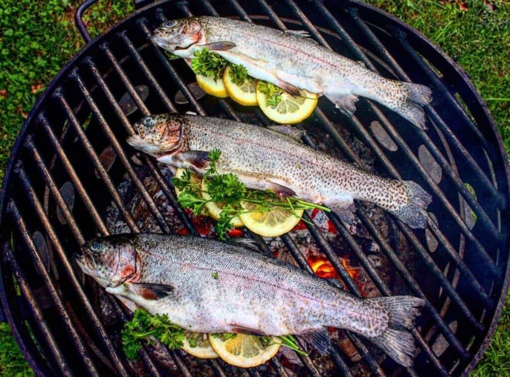 What is the best time to fish for brown trout