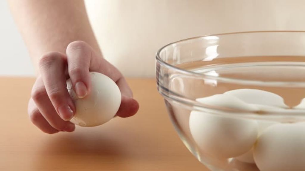 What is a turkey egg