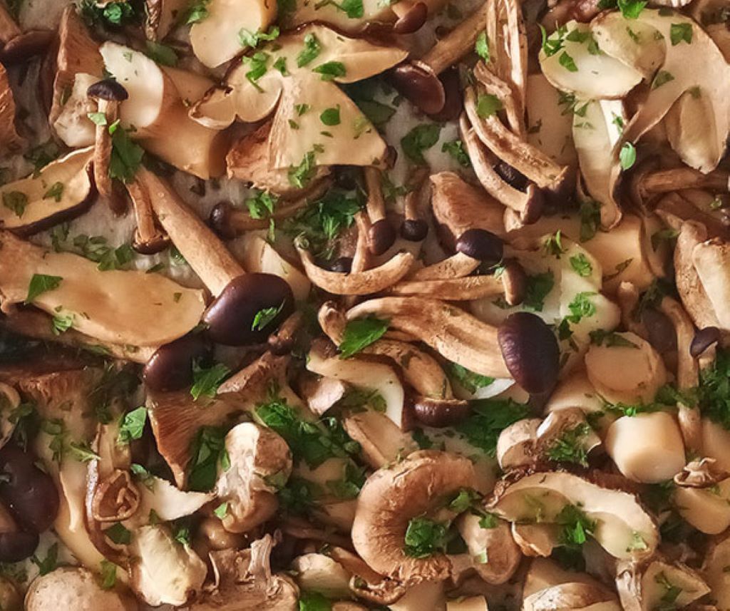 How do you eat boiled mushrooms