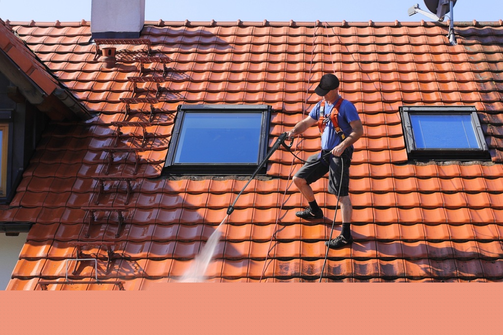 Roof Revival