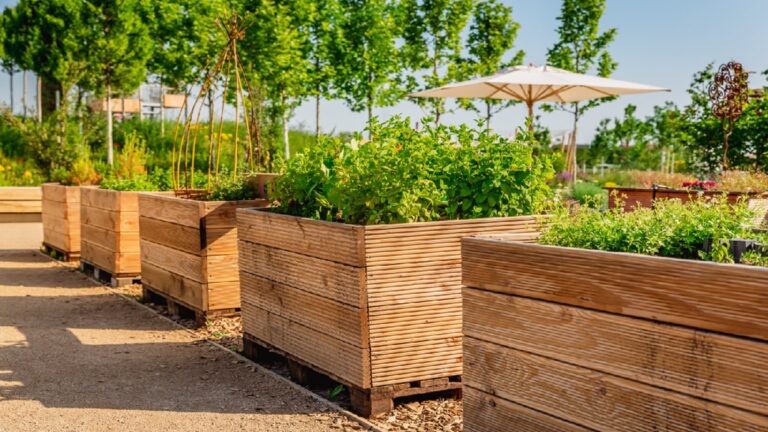 Where is gardening most popular?