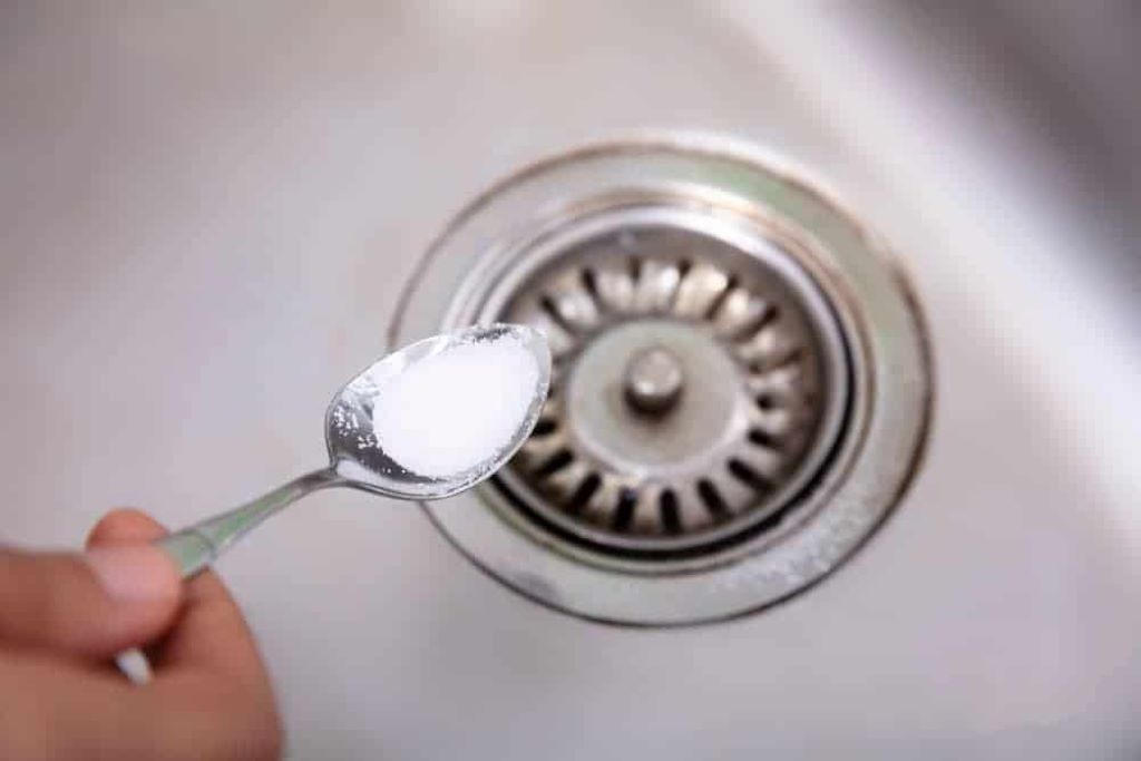 How to get rid of drain gnats permanently