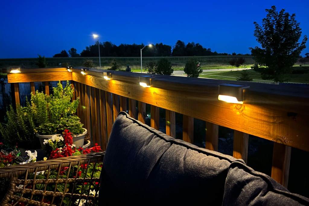 Solar-powered stake lights lining a garden path for dark sky compliance