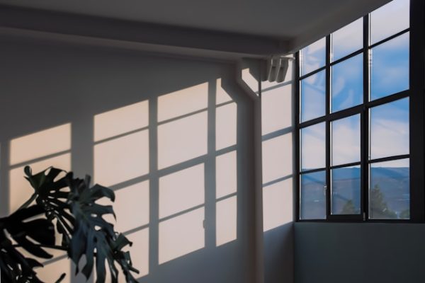 amel-majanovic-r8r2I7FsaIE-unsplash